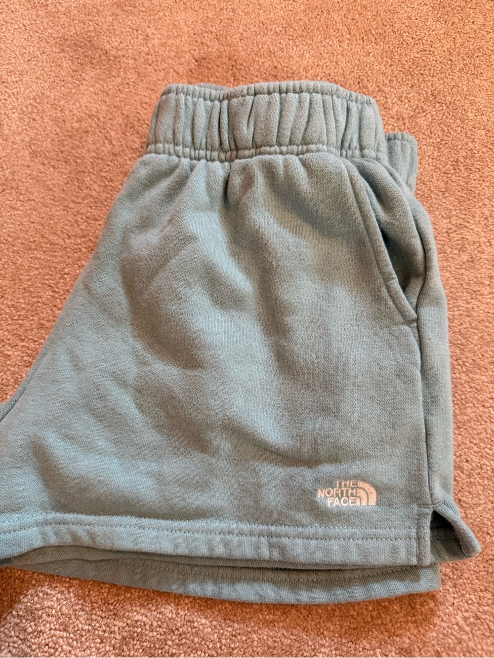 The North Face Green Fleece Shorts